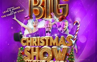 Viva's Big Christmas Show Night Out