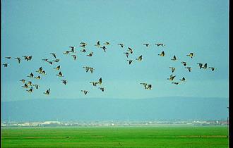 The Ribble Estuary Regional Park