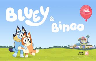 Bluey and Bingo at Mrs Dowsons