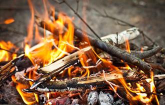 Stone Age Survival at Brockholes
