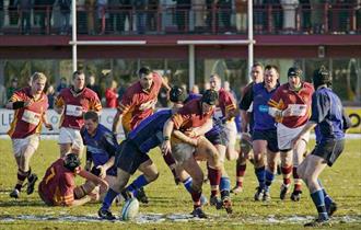 Fylde Rugby Club