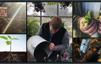 The Winter Garden with John Foley at Holden Clough