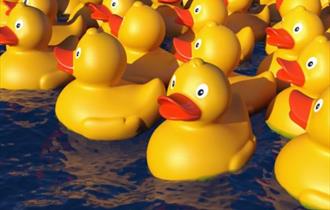 The Great Ribby Duck Race At Ribby Hall Village