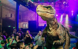Teach Rex Live