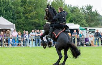 Lancashire Game and Country Festival