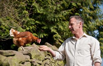 Bowland Forest Eggs