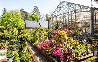 Flower selection in The Glass House