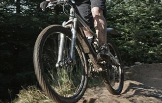 Witton Park Pump Track