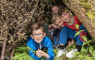 Woodland Survival at Brockholes
