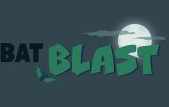 Bat Blast Experience at Ribby Hall Village
