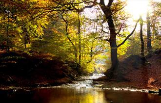 Witton park by the river