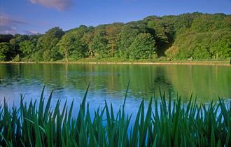 Yarrow Valley Country Park