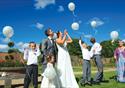 Weddings in the Walled Garden