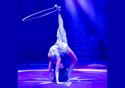 Blackpool Tower Circus