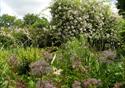 The beautiful gardens at The Ridges await guests.