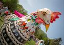 Easter Egg Rolling in Preston 2016