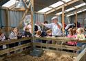 The farmer is giving a talk to many children in the centre of the barn.