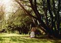 Holland Hall Hotel Wedding Venue
