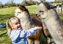 The Alpaca Walking Experience