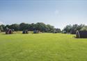 Long distant view of pods at Stanley Villa Farm Fishing & Camping