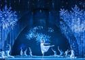 Nutcracker in Havana