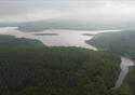 Gisburn Forest