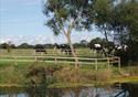 Humblescough Farm