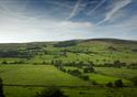Festival Bowland