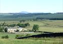 Gisburn Forest