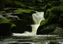 Healey Dell - Waterfall