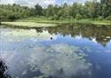 Mere Sands Wood Nature Reserve