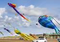 Kite Festival displays