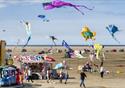 Kite Festival displays