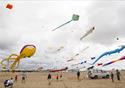 Kite Festival displays