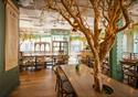 Mowgli Street Food