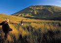 Pendle Walking Festival