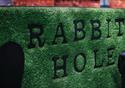 Rabbit Hole branding