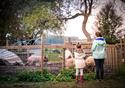 Mini Farmers Club