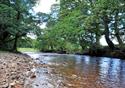 The River Wyre at Claylands Park