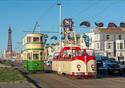 Two Heritage Trams