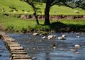 The Inn at Whitewell