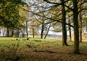 The Estate Grounds at Stirk House Hotel