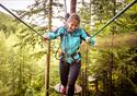 Bridge through the trees at Go Ape