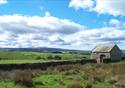 Festival Bowland 2022