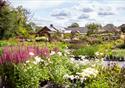 An outdoor shot of the nursery in the sunshine.