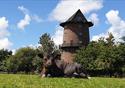 Windmill on the Farm