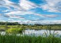 RSPB Leighton Moss and Morecambe Bay Nature Reserve.  Copyright: Jarrod Sneyd.