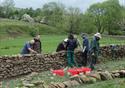 Wyre Conservation Days - Stone Walling