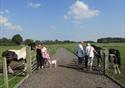 Families visiting World Horse Welfare Penny Farm