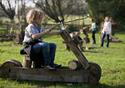 Wooden play frame at Wyre Estuary Country Park